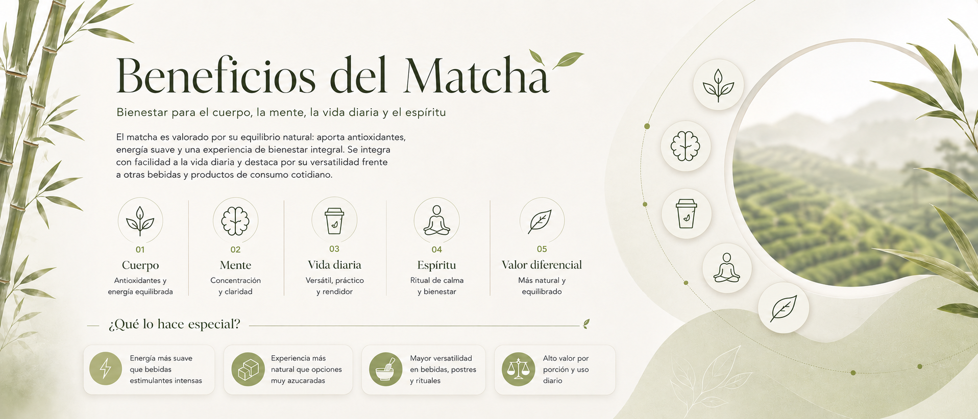 beneficios